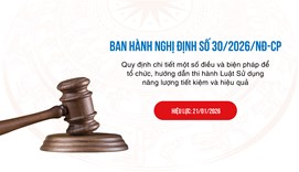 Chính phủ ban hành Nghị định quy định chi tiết Luật Sử dụng năng lượng tiết kiệm và hiệu quả