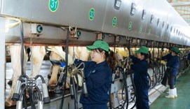 Đẩy mạnh tiết kiệm điện, nâng cao hiệu quả sản xuất
