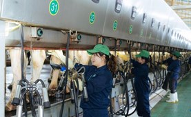 Promote Electricity Savings to Improve Production Efficiency