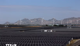 Vietnam Joins Consensus on the Montreal Conference Declaration on Energy Efficiency