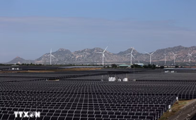 Vietnam Joins Consensus on the Montreal Conference Declaration on Energy Efficiency