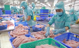 Improving Energy Efficiency in Seafood Processing Industrial Sector